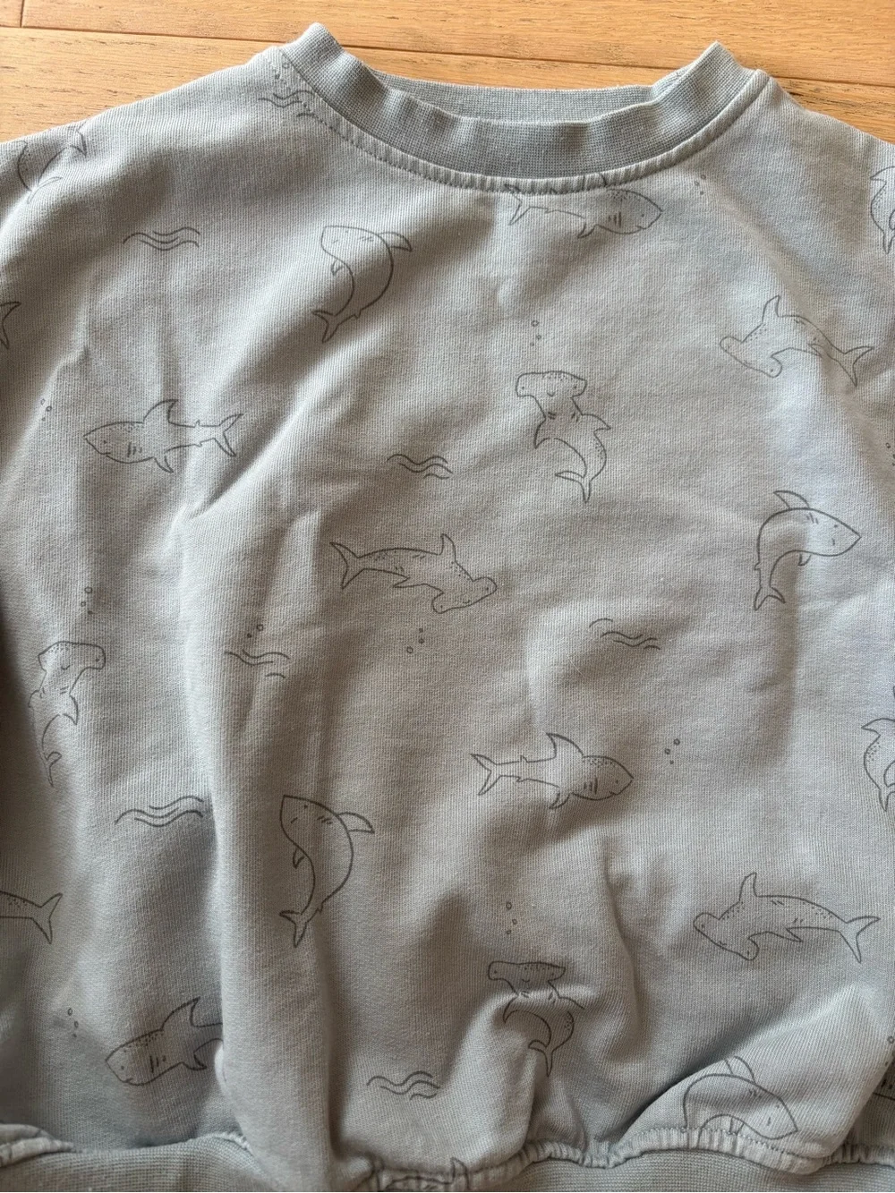 Rylee+crew blue shark print sweatshirt set, size 2-3Y